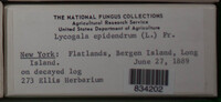 Image Associated With the Occurence